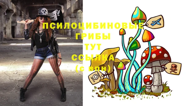 Альфа ПВП Абдулино